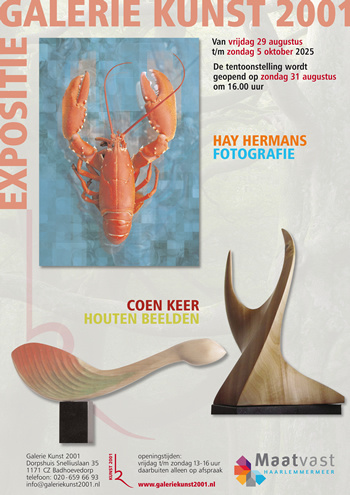 Kunst2001_aug25